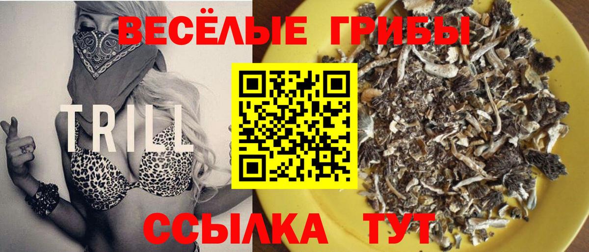 Галлюциногенные грибы Psilocybe Усинск