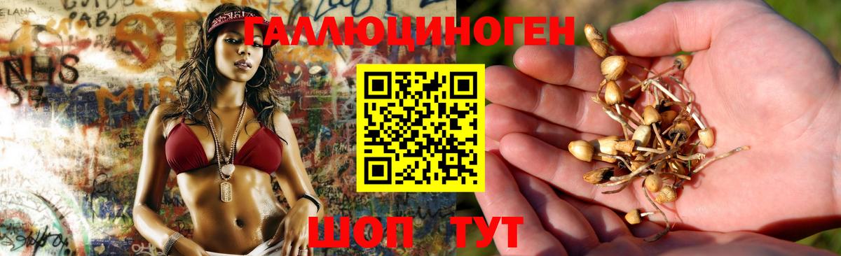 Усинск  Галлюциногенные грибы GOLDEN TEACHER  Вход с VPN 
